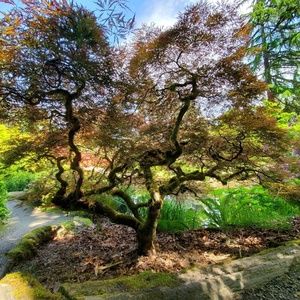 Meet your Posher, Kristie